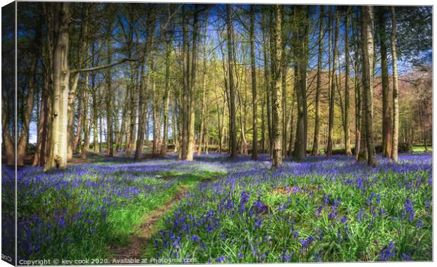 Bluebell path Canvas Print by kevin cook