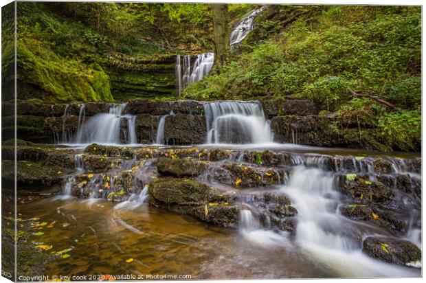 Scalebar force Canvas Print by kevin cook