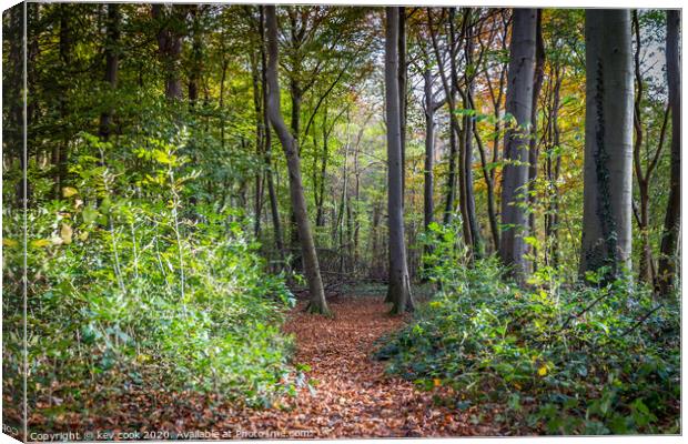Brokerdale path Canvas Print by kevin cook