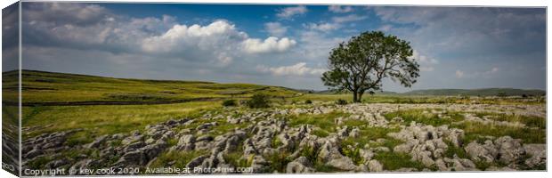 The Lone tree of malhamdale - Pano Canvas Print by kevin cook