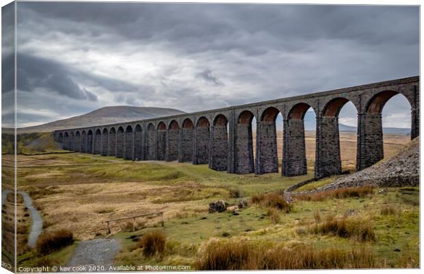 Ribblehead Canvas Print by kevin cook