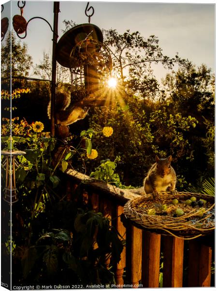 Squirels Supper Canvas Print by Mark Dobson