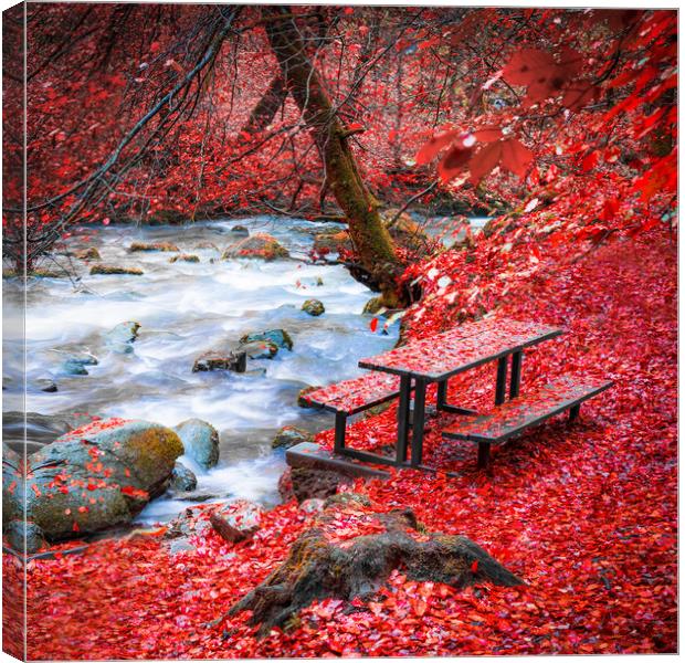 washed in red Canvas Print by Steve Hanson
