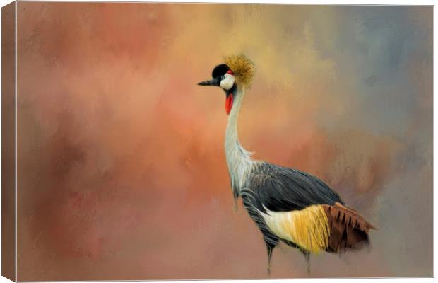 African Crane Canvas Print by David Owen
