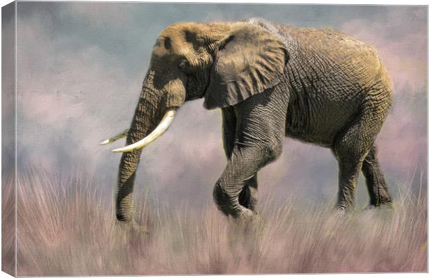 Lone Elephant Canvas Print by David Owen