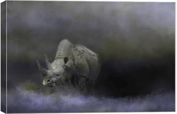 Rhino wanders the Ngorongoro Crater Canvas Print by David Owen