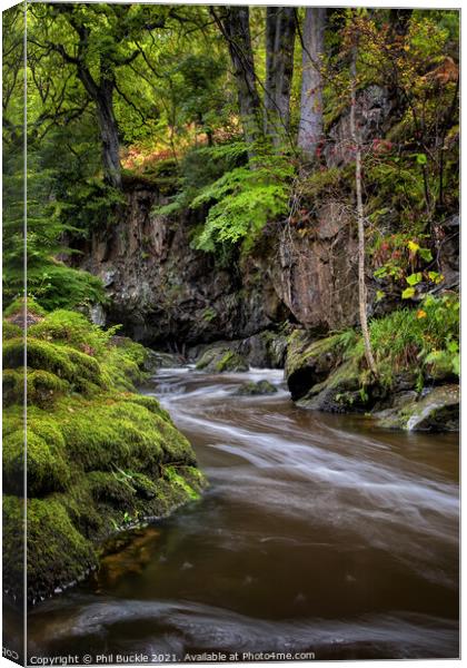 Aira Beck Bubble Trails Canvas Print by Phil Buckle