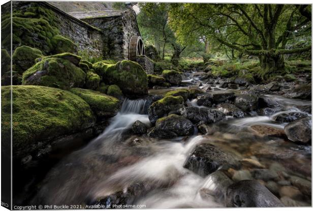 Old Mill Cottage Combe Gill  Canvas Print by Phil Buckle