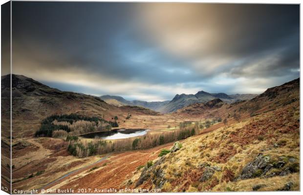 Blea Tarn View Canvas Print by Phil Buckle