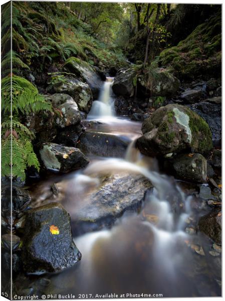 Cat Gill Falls Canvas Print by Phil Buckle
