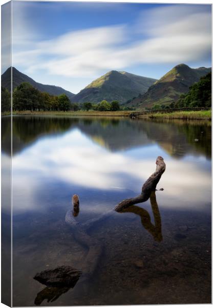 Submerged at Brothers Water Canvas Print by Phil Buckle