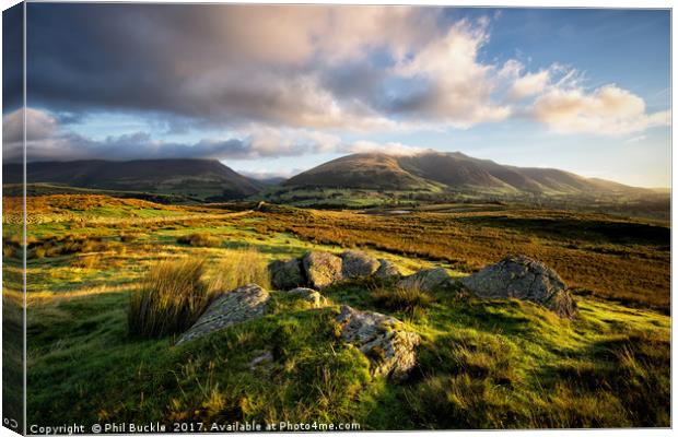 Low Rigg Fell View Canvas Print by Phil Buckle