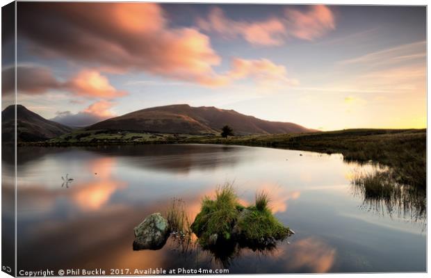 Tewet Tarn Reflections Canvas Print by Phil Buckle