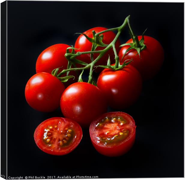 Vine Tomatoes Canvas Print by Phil Buckle