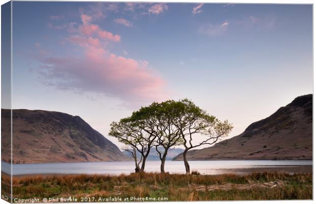 Crummock Water Trees Sunrise Canvas Print by Phil Buckle