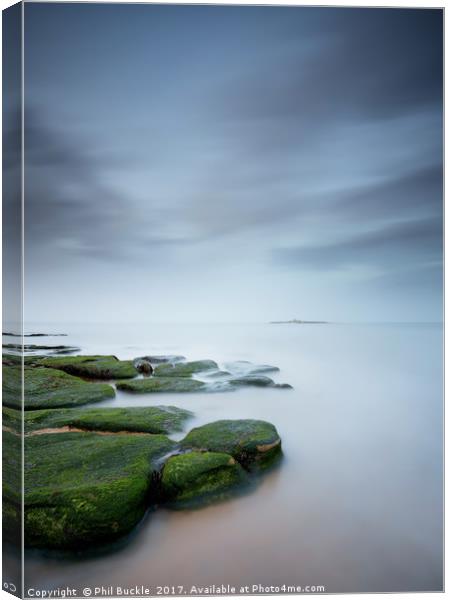 Coquet Island Canvas Print by Phil Buckle
