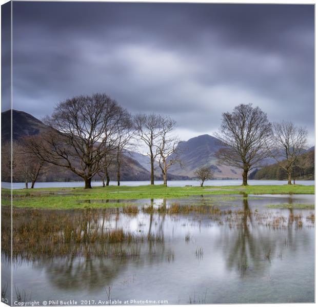 Buttermere Puddle Canvas Print by Phil Buckle