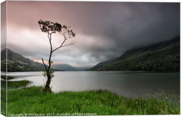 Buttermere Lone Tree Dawn Canvas Print by Phil Buckle