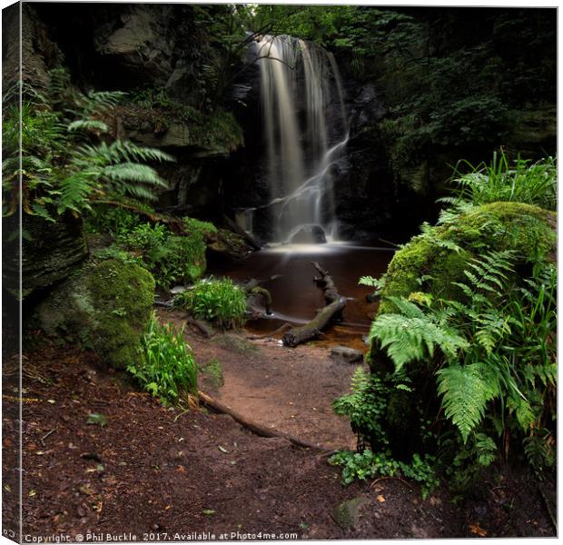 Roughting Linn Waterfall Canvas Print by Phil Buckle