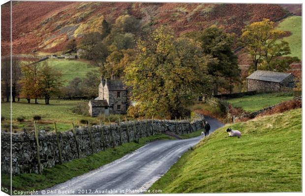 Autumn in Martindale Canvas Print by Phil Buckle