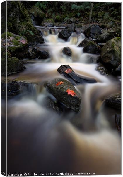 Cat Gill Falls Canvas Print by Phil Buckle