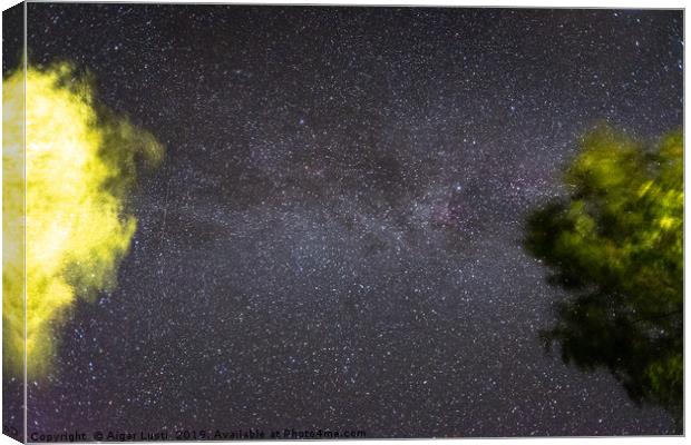 Milky Way in Storm Canvas Print by Aigar Lusti