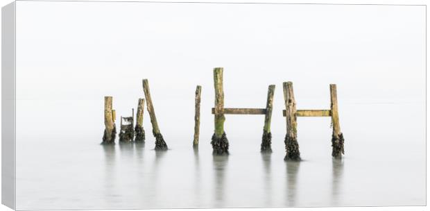 old jetty in the mist Canvas Print by Alf Damp