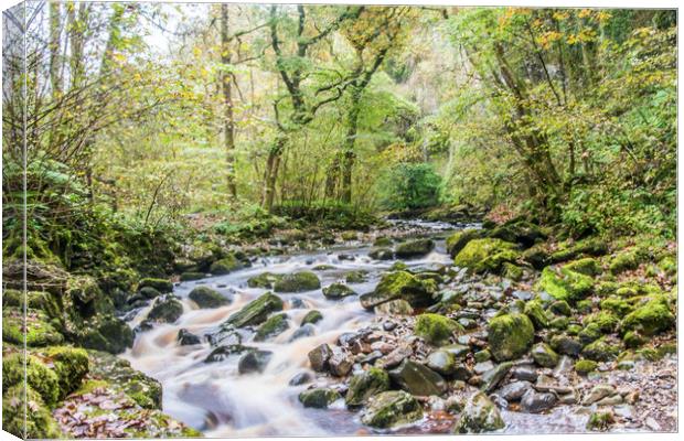 A Dales River in Autumn Canvas Print by Alf Damp