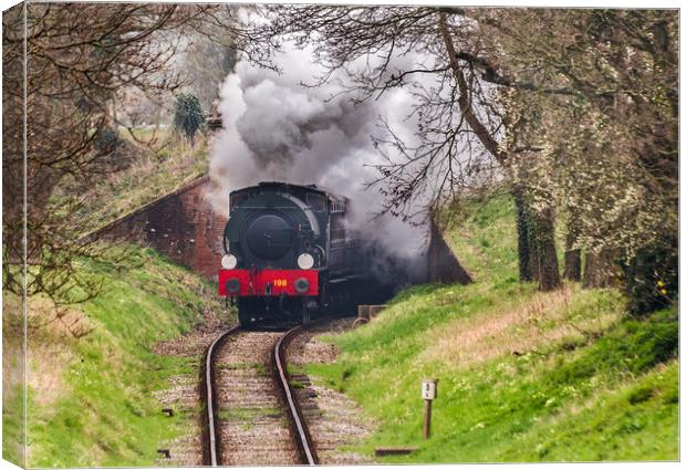 Steaming through the countryside Canvas Print by Alf Damp