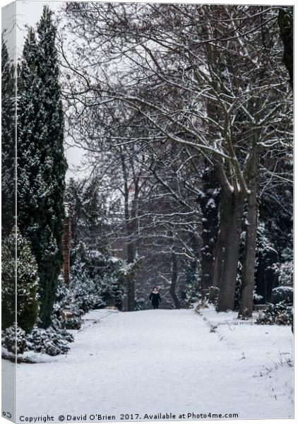 Walking in the Snow Canvas Print by David O'Brien