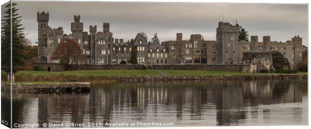 Ashford Castle on Lough Corrib Canvas Print by David O'Brien