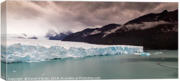 Glacier Perito Moreno Canvas Print by David O'Brien