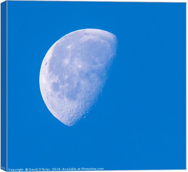 Moon in Daytime Canvas Print by David O'Brien
