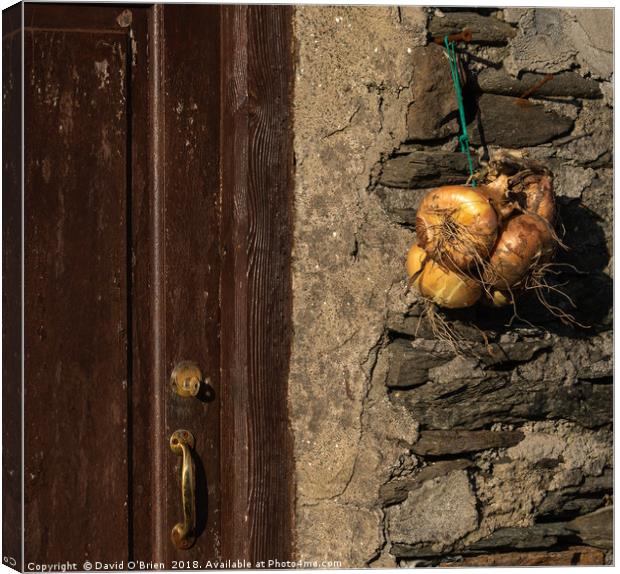 Island Life - Hanging the Onions out to dry Canvas Print by David O'Brien