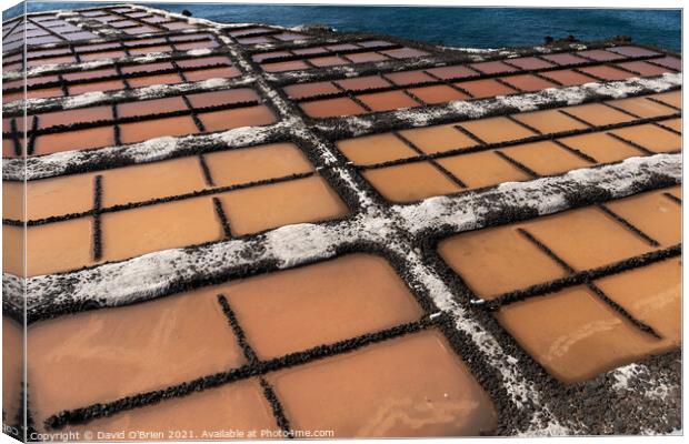 Salt Pans at Fuencaliente Lighthouse  Canvas Print by David O'Brien