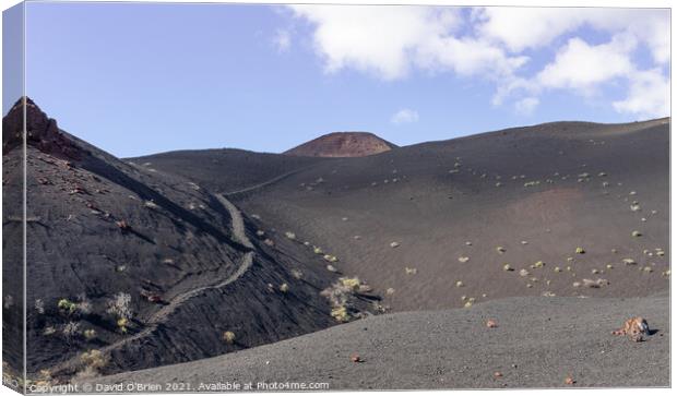 Volcan Teneguia, the path less taken Canvas Print by David O'Brien