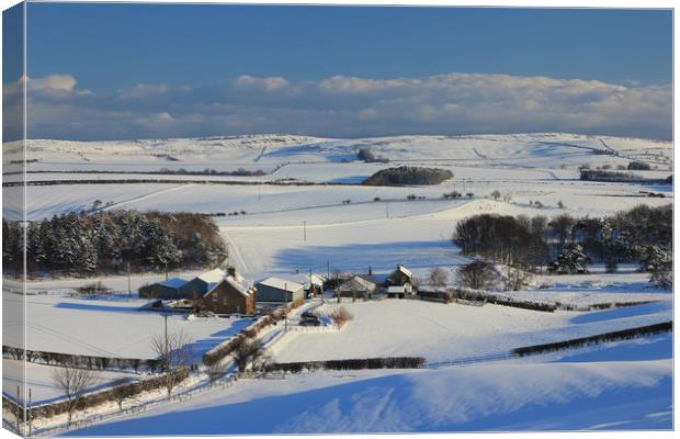 Till Valley, Northumberland in Winter Canvas Print by Alan Barnes