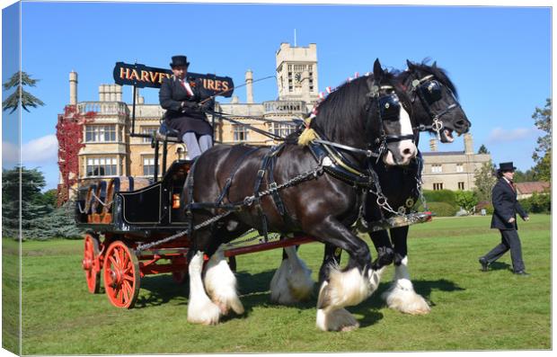 Shire Horses and Brewery Dray Canvas Print by Alan Barnes