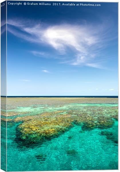 Great Barrier Reef Canvas Print by Graham Williams