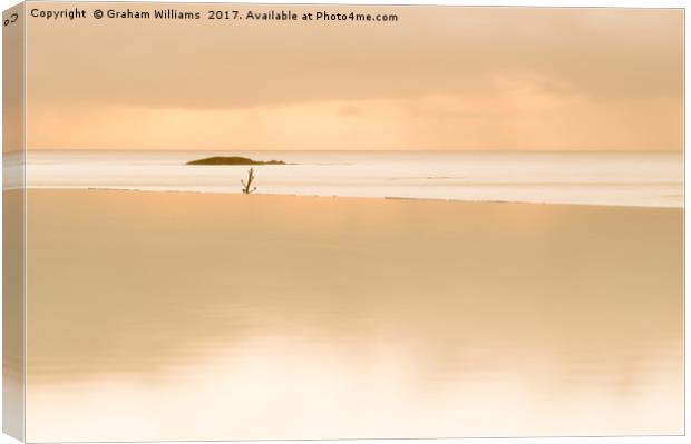 Golden infinity pool Canvas Print by Graham Williams