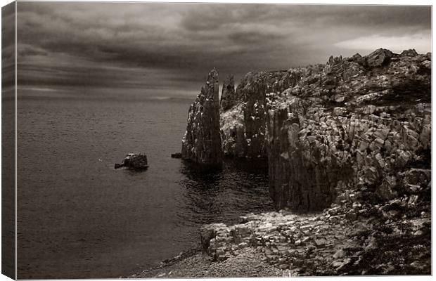 Isle of May Sea cliffs Canvas Print by Malcolm Smith