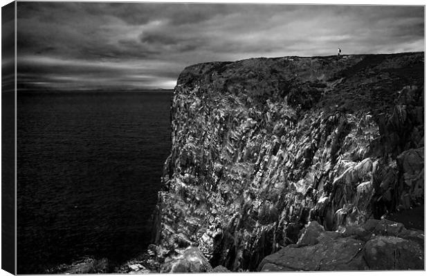 Isle of May Sea Cliffs 2 Canvas Print by Malcolm Smith