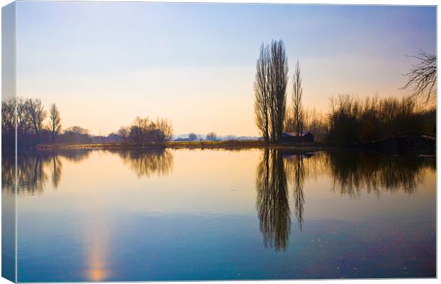 Poplar reflectio Canvas Print by Malcolm Smith