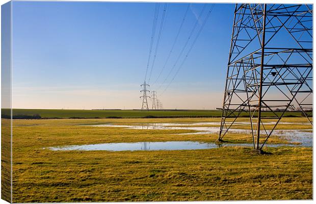 Pylons Canvas Print by Malcolm Smith