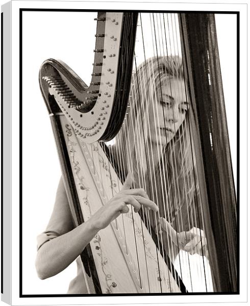 Portrait of the Harpist Canvas Print by Malcolm Smith