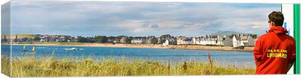 Lookout Canvas Print by Malcolm Smith