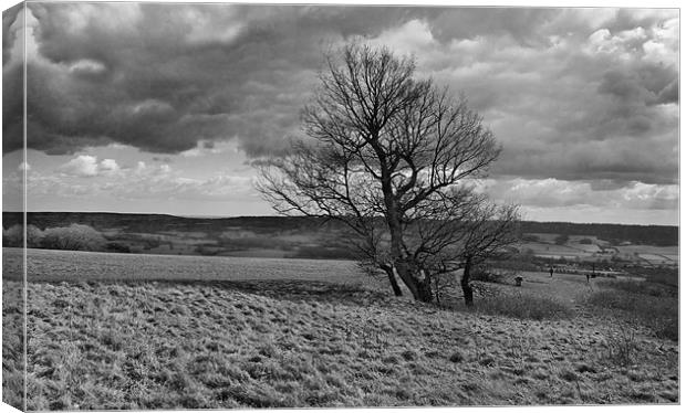 North Downs Landscape Canvas Print by Malcolm Smith