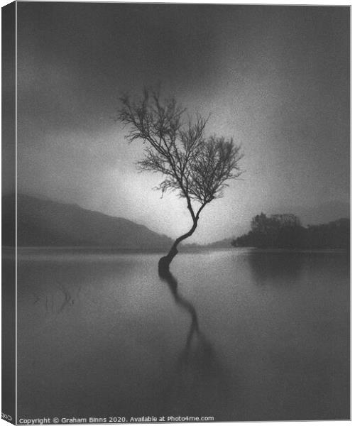 Llanberis Lone Tree, Llyn Padarn Caernarfon Wales Canvas Print by Graham Binns