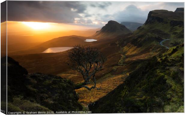 Forced Aura – Quiraing lone tree, Isle of Skye Sun Canvas Print by Graham Binns