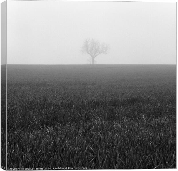 Nearly Home. Lone Foggy Tree. Cleckheaton Canvas Print by Graham Binns